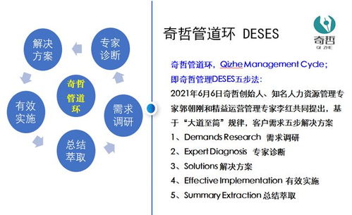 上海奇哲咨詢 企業(yè)管理咨詢的價(jià)值與核心作用解析